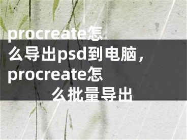 procreate怎么导出psd到电脑，procreate怎么批量导出