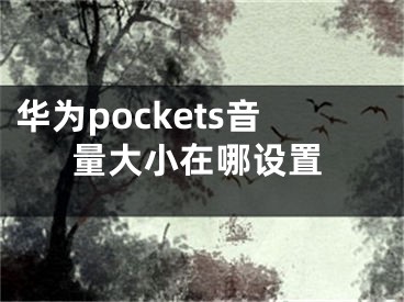 华为pockets音量大小在哪设置