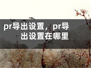 pr导出设置，pr导出设置在哪里