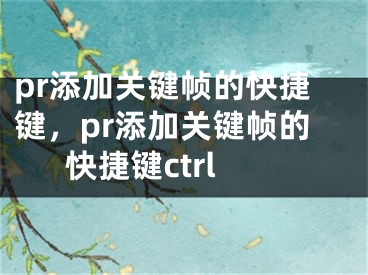 pr添加关键帧的快捷键，pr添加关键帧的快捷键ctrl