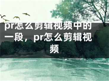 pr怎么剪辑视频中的一段，pr怎么剪辑视频