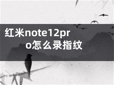 红米note12pro怎么录指纹