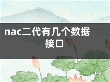 nac二代有几个数据接口