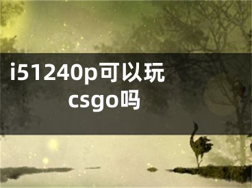 i51240p可以玩csgo吗