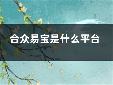 合众易宝是什么平台