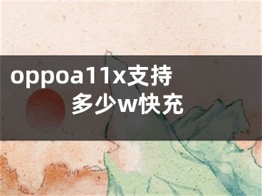 oppoa11x支持多少w快充