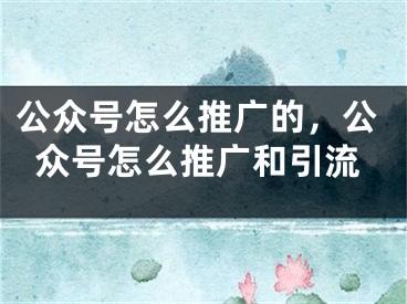 公众号怎么推广的，公众号怎么推广和引流