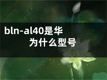 bln-al40是华为什么型号