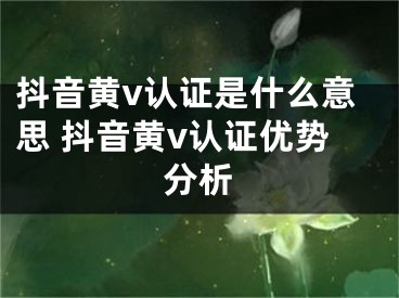 抖音黄v认证是什么意思 抖音黄v认证优势分析