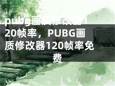 pubg画质修改器120帧率，PUBG画质修改器120帧率免费