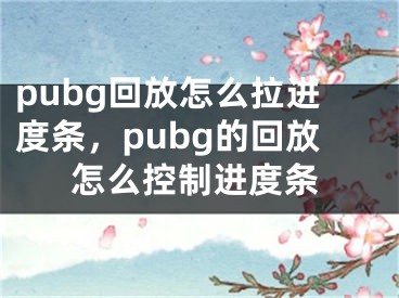 pubg回放怎么拉进度条，pubg的回放怎么控制进度条