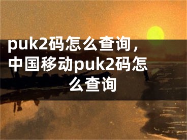 puk2码怎么查询，中国移动puk2码怎么查询