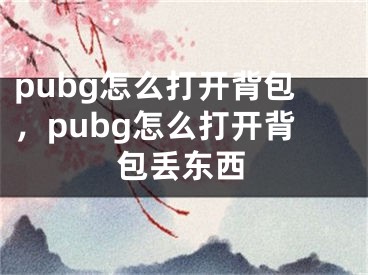 pubg怎么打开背包，pubg怎么打开背包丢东西