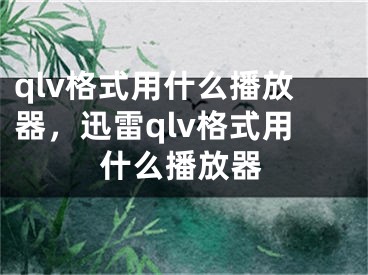 qlv格式用什么播放器，迅雷qlv格式用什么播放器