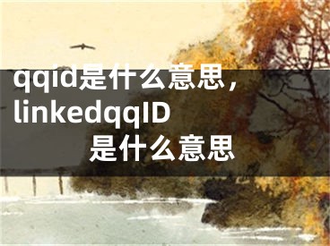 qqid是什么意思，linkedqqID是什么意思