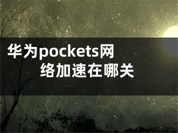 华为pockets网络加速在哪关