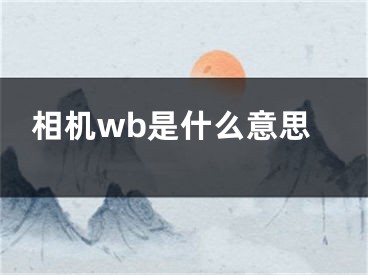 相机wb是什么意思