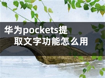 华为pockets提取文字功能怎么用