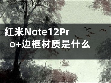 红米Note12Pro+边框材质是什么