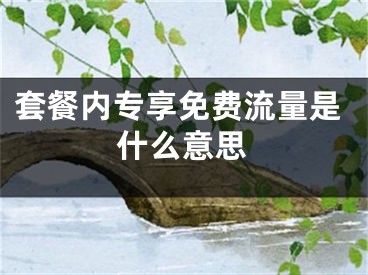 套餐内专享免费流量是什么意思