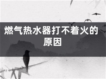 燃气热水器打不着火的原因