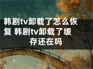 韩剧tv卸载了怎么恢复 韩剧tv卸载了缓存还在吗