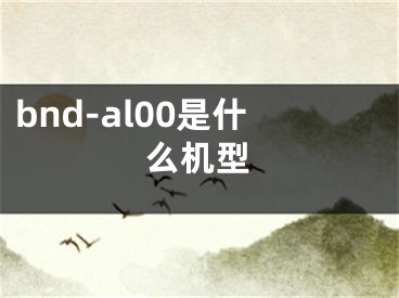 bnd-al00是什么机型