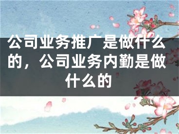 公司业务推广是做什么的，公司业务内勤是做什么的