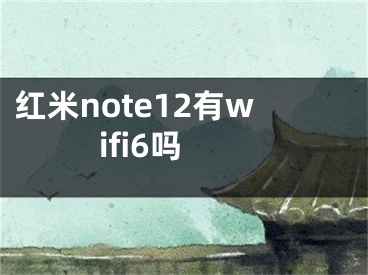 红米note12有wifi6吗