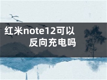 红米note12可以反向充电吗