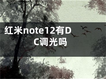 红米note12有DC调光吗