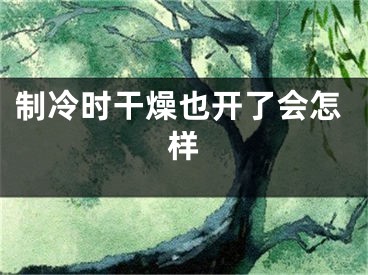 制冷时干燥也开了会怎样