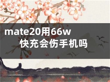 mate20用66w快充会伤手机吗