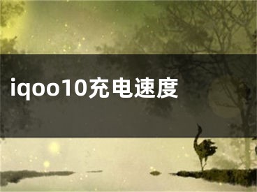 iqoo10充电速度