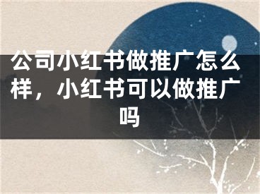 公司小红书做推广怎么样，小红书可以做推广吗