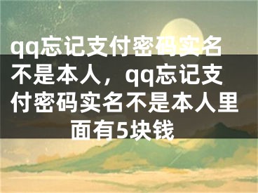 qq忘记支付密码实名不是本人，qq忘记支付密码实名不是本人里面有5块钱