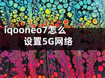 iqooneo7怎么设置5G网络