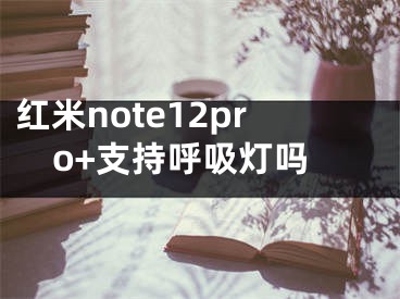 红米note12pro+支持呼吸灯吗