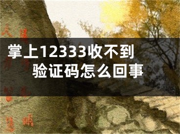 掌上12333收不到验证码怎么回事