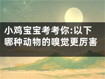 小鸡宝宝考考你:以下哪种动物的嗅觉更厉害