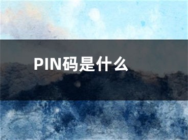 PIN码是什么