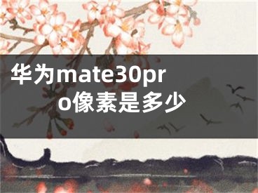 华为mate30pro像素是多少