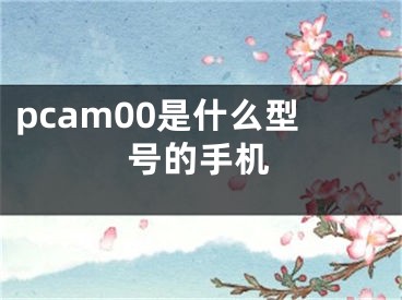 pcam00是什么型号的手机