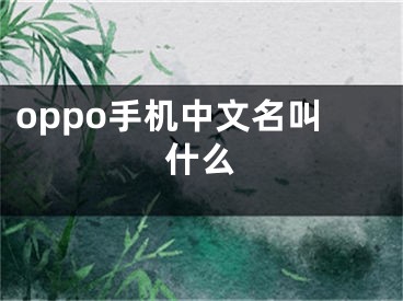 oppo手机中文名叫什么