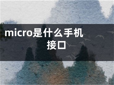 micro是什么手机接口