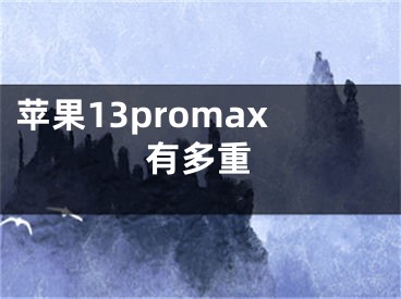 苹果13promax有多重