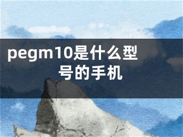 pegm10是什么型号的手机