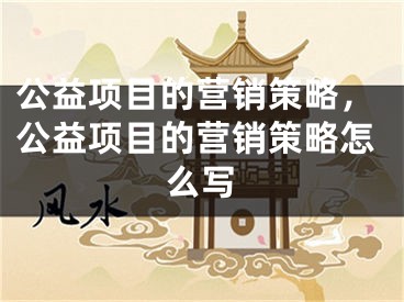 公益项目的营销策略，公益项目的营销策略怎么写