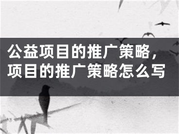 公益项目的推广策略，项目的推广策略怎么写