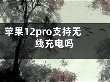 苹果12pro支持无线充电吗